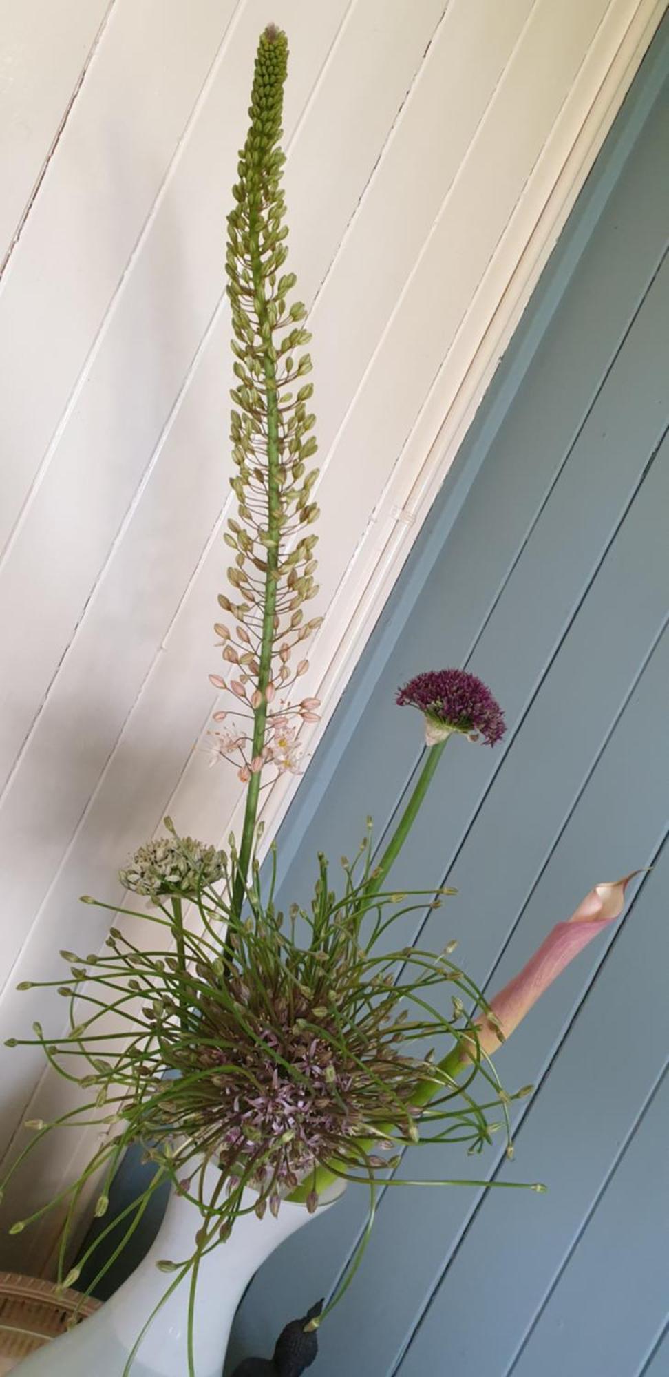 Westbeemster B&B Beemsterlust الغرفة الصورة